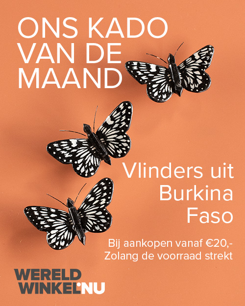 houten vlinders uit Burkina Faso